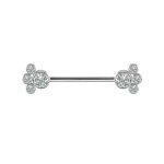 Nipple Barbell Cluster Gems, Titanium