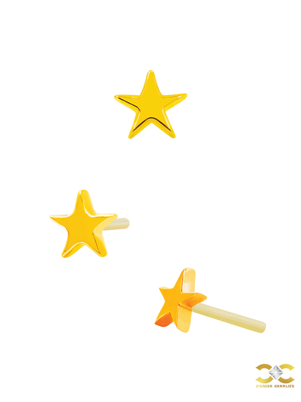 Junipurr Star Push-In Stud Earring, 14k Yellow Gold