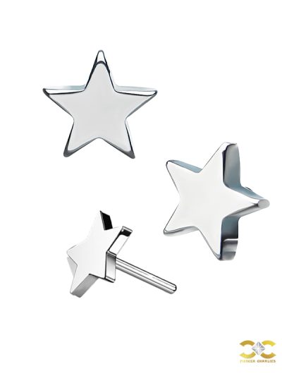 Star Threaded / Push-In Stud Earring, Titanium