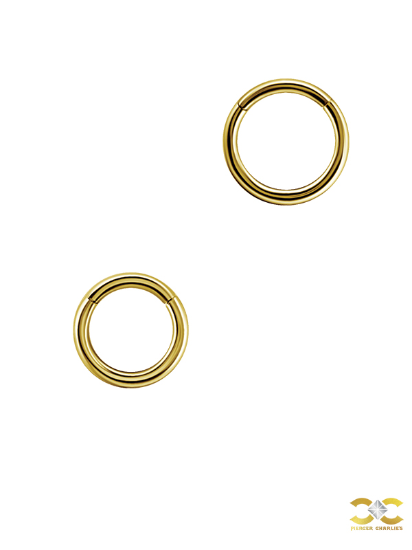 Gold Clicker Hoop, 16g, Small, 18k Yellow Gold