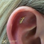 Auris Phoenix Feather on the Helix