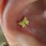 Anatometal Butterfly in the Conch