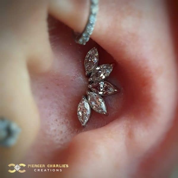White Gold Marquise Fan in the Conch