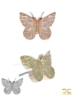 Anatometal Butterfly Push-In Stud Earring, 18k Gold