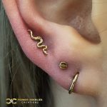 BodyGems Snake on a High Lobe