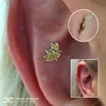 Bodygems Bee on the Outer conch
