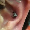 Sparkly Spider in the Conch