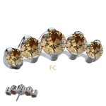 Prium Cluster Push-In Stud Earring, Titanium