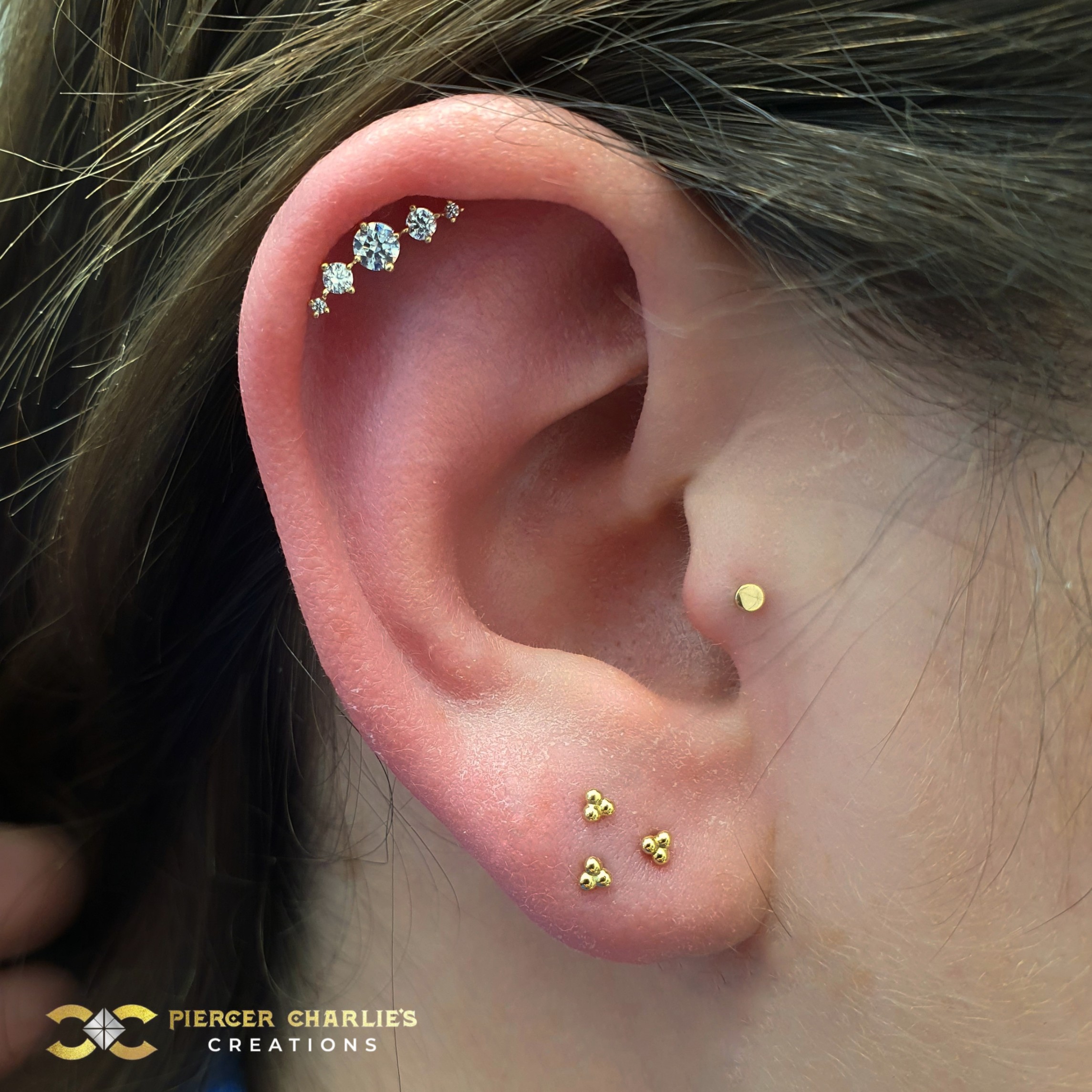 Tragus Piercing Piercing Ideas Piercer Charlie S Creations