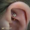 Rook Barbell with 18k Gold Flower