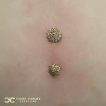 Surface Piercing with 14k Gold