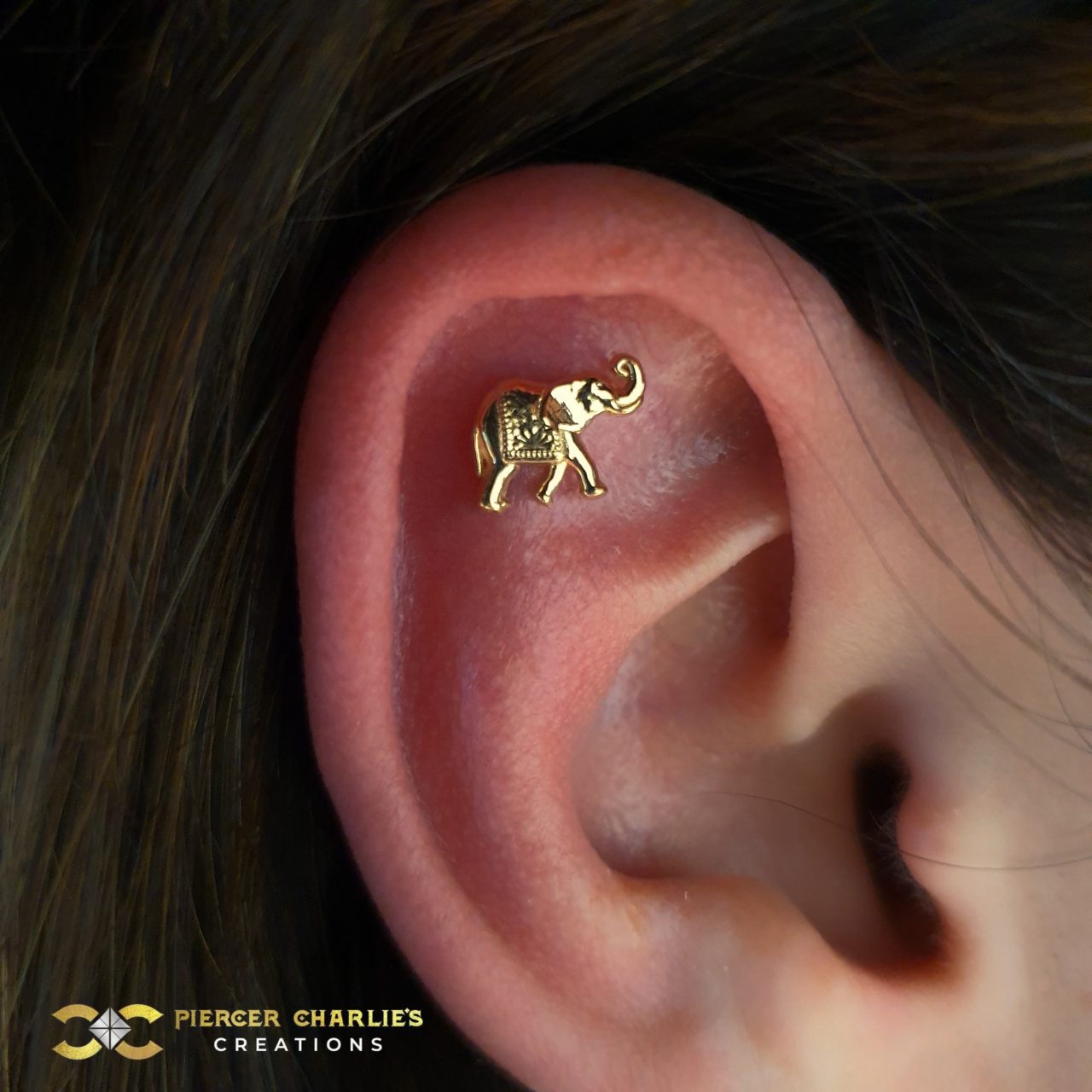 BodyGems Elephant Threaded Stud Earring 