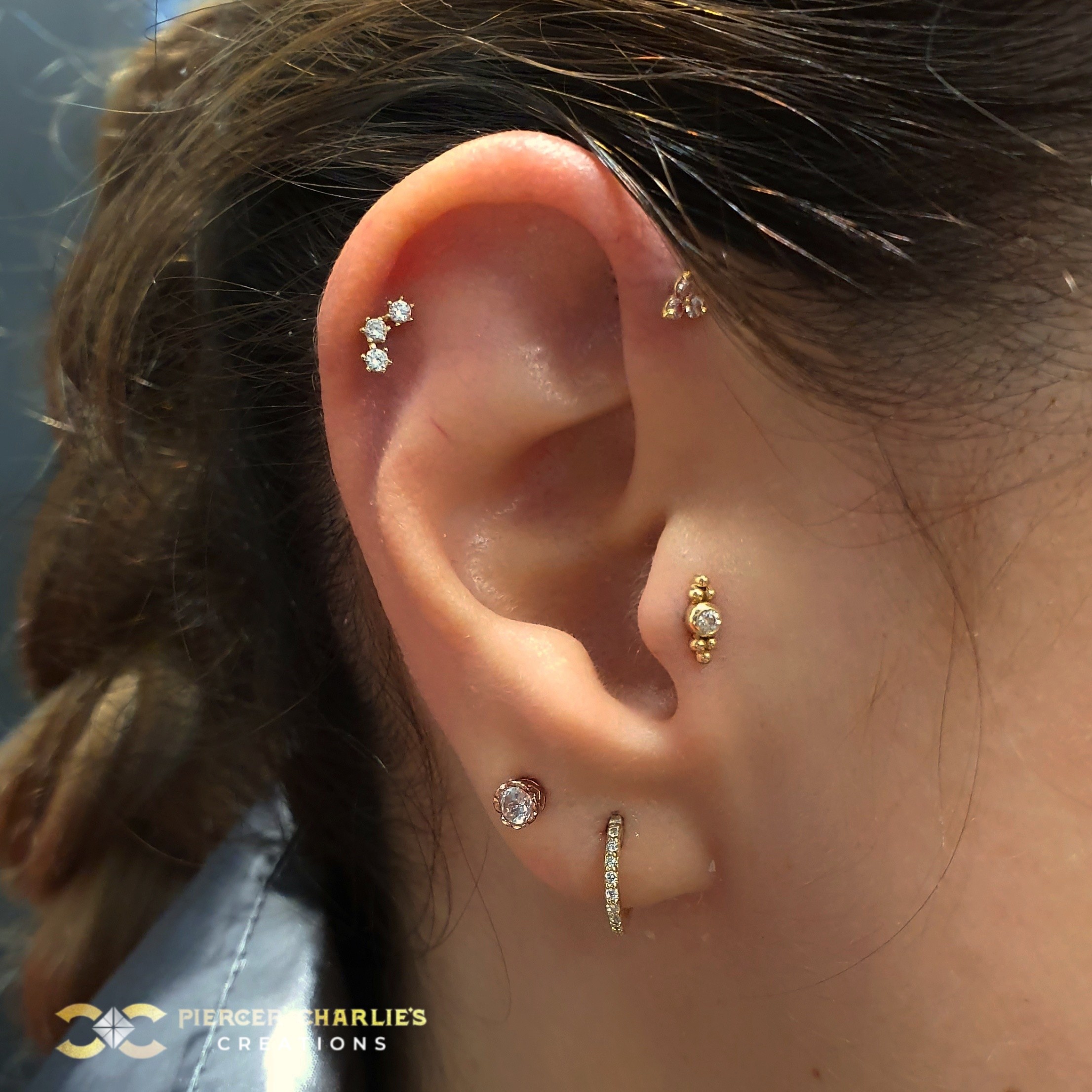 Tragus Piercing Piercing Ideas Piercer Charlie S Creations