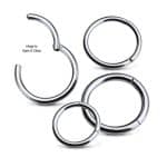 Plain Ring Clicker Earring, Titanium
