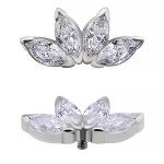 4-Marquise Fan Threaded Stud Earring, Closed Back, 18k White Gold