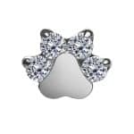 CZ Paw Print Push-In Stud Earring, Titanium