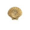 BVLA Seashell Threaded Stud Earring, 14k Yellow Gold