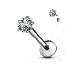 Prong Set Star CZ Threaded Stud Earring, Titanium