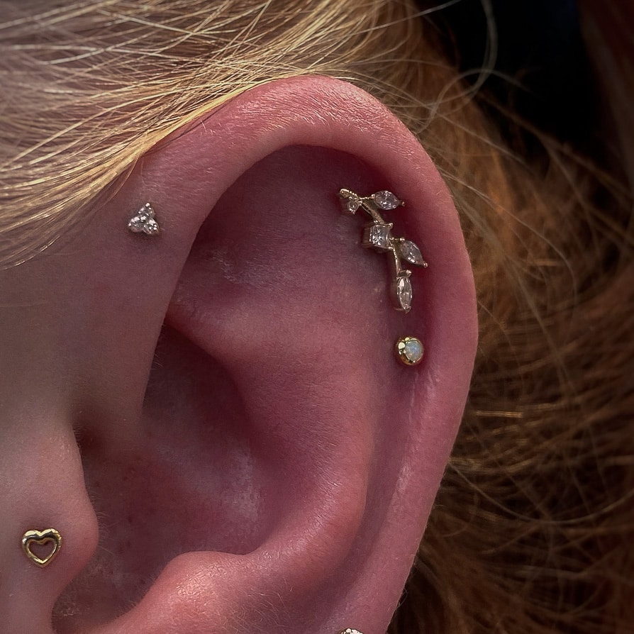 Double Helix Piercing